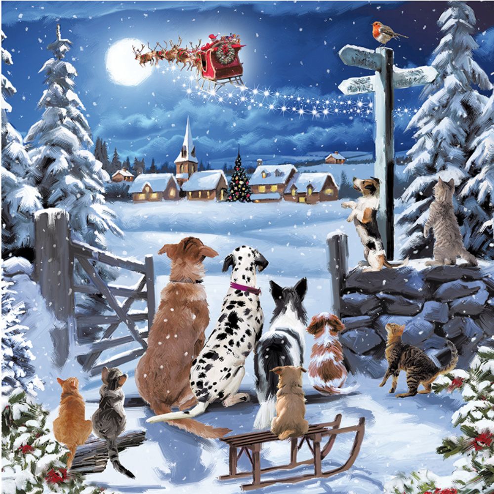 Woodmansterne Dogs & Cats Looking at Santa Christmas Card