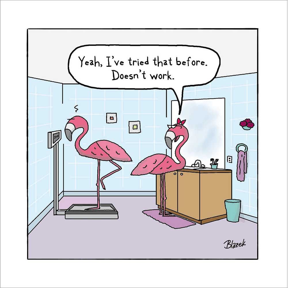 Woodmansterne Flamingo Scales Funny Blank Card