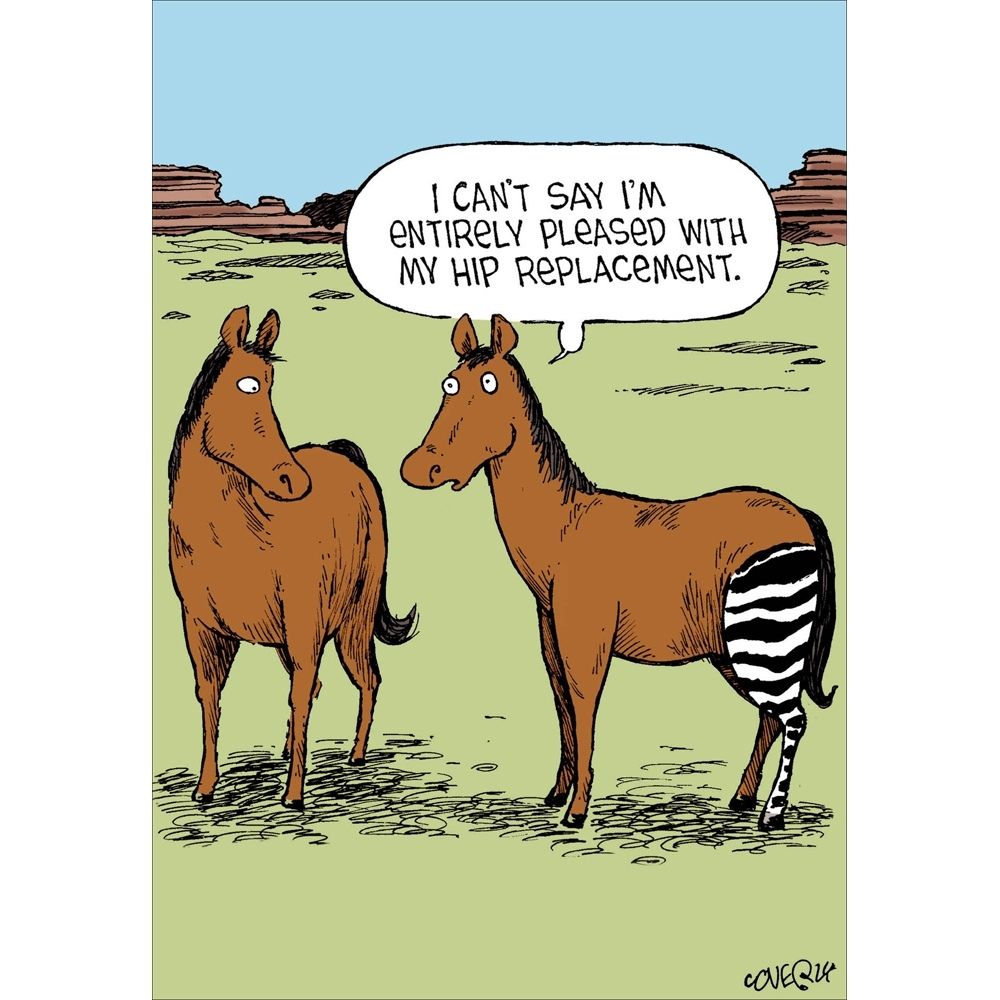 Woodmansterne Horses Hip Replacement Blank Funny Card