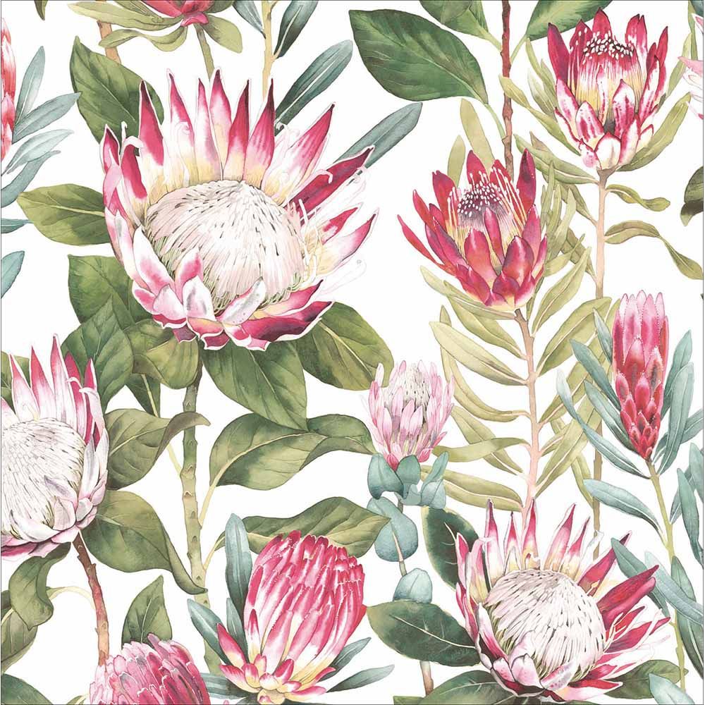 Woodmansterne King Protea Flowers Blank Card