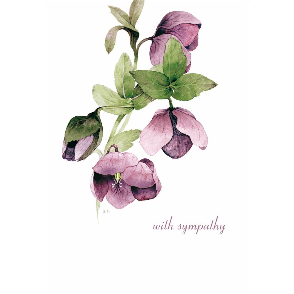 Woodmansterne Lilac Hellebore Sympathy Card