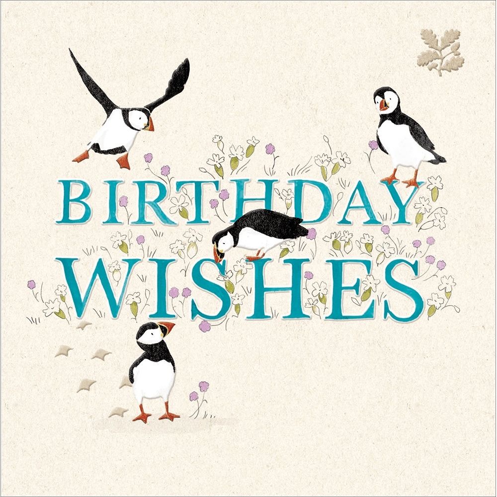 Woodmansterne Puffin Capers Birthday Card
