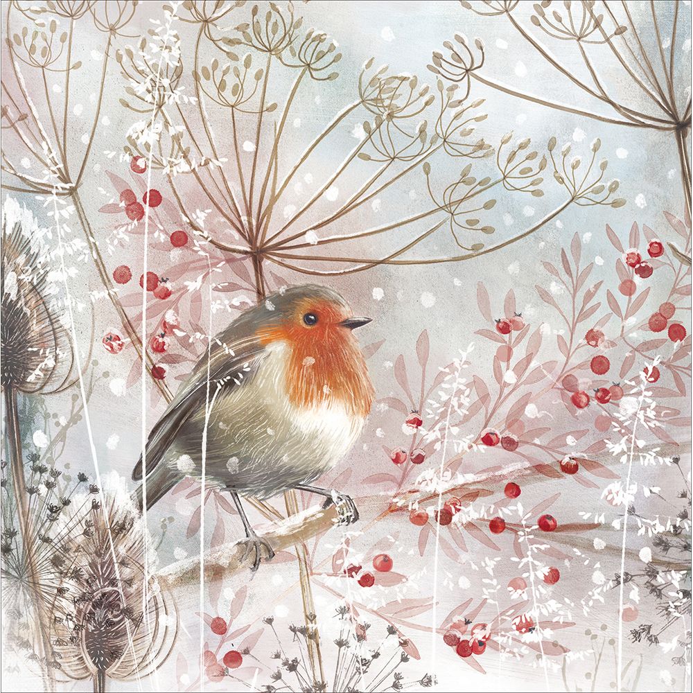 Woodmansterne Robin Amongst Seeds Stems Christmas Card