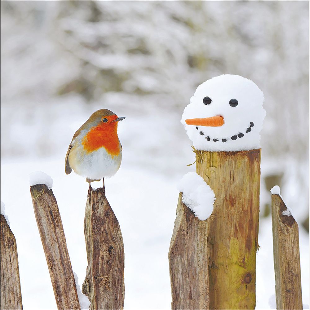 Woodmansterne Robin on Snowy Fence Christmas Card