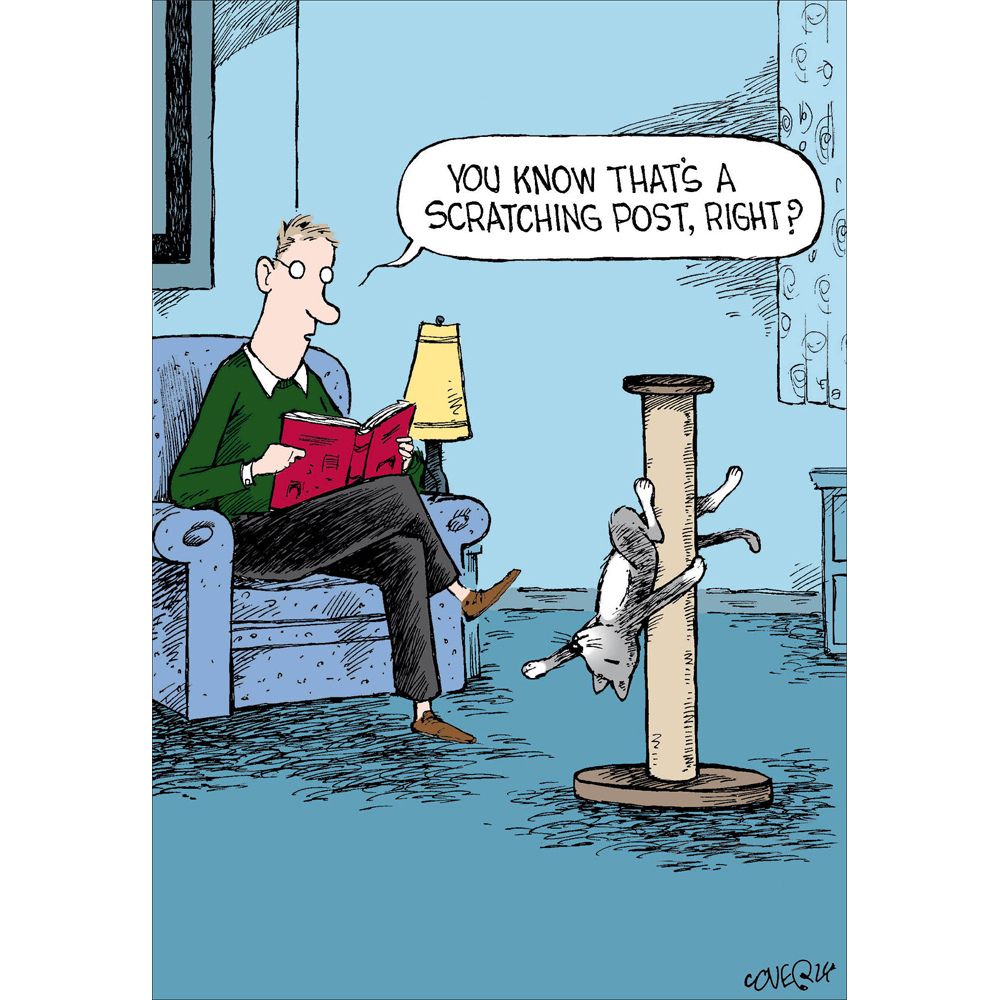 Woodmansterne Scratching Post Funny Blank Card