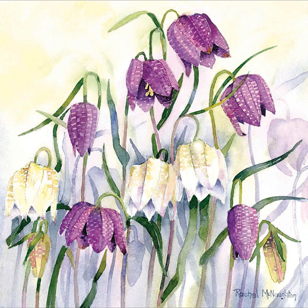 Woodmansterne Sleepy Snakehead Flowers Blank Card