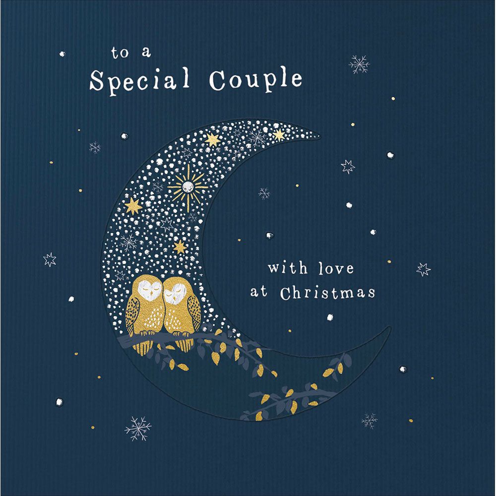 Woodmansterne Special Couple Owls on Moon Christmas Card