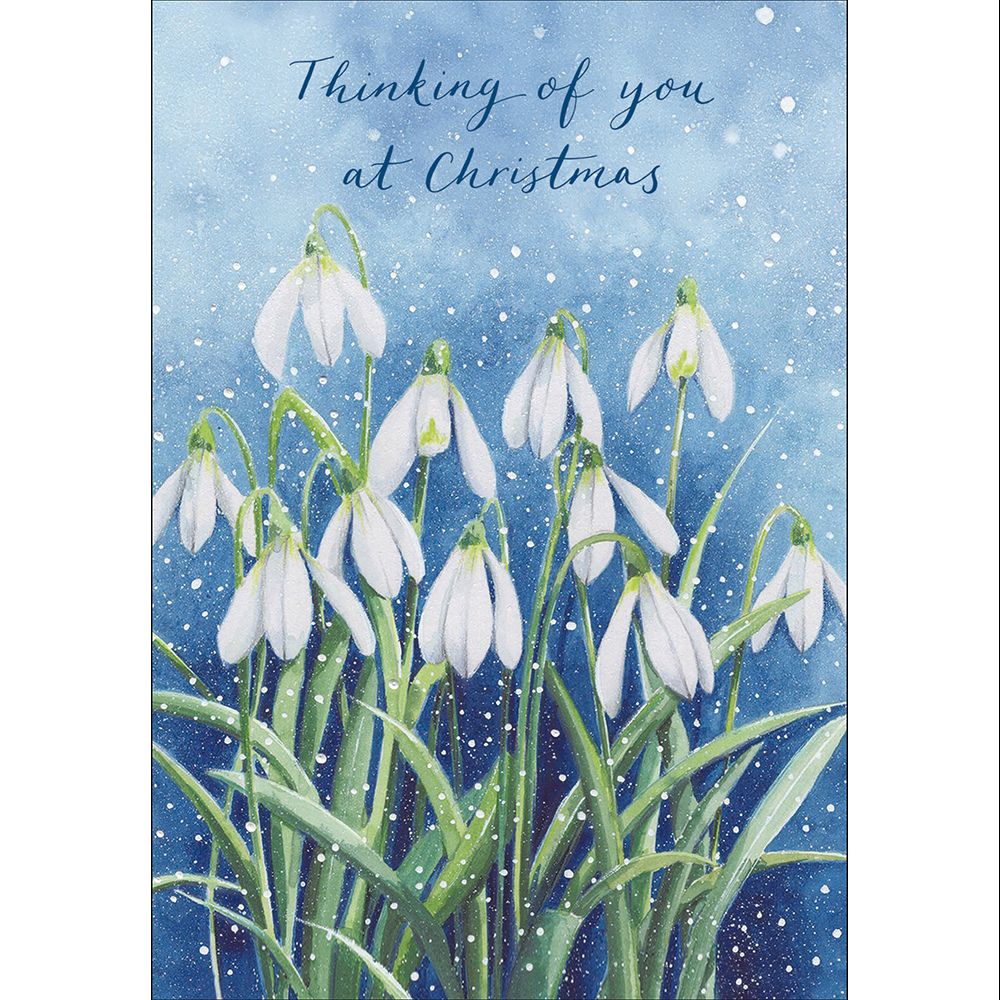 Woodmansterne Thinking of You Snowdrops Christmas Cards