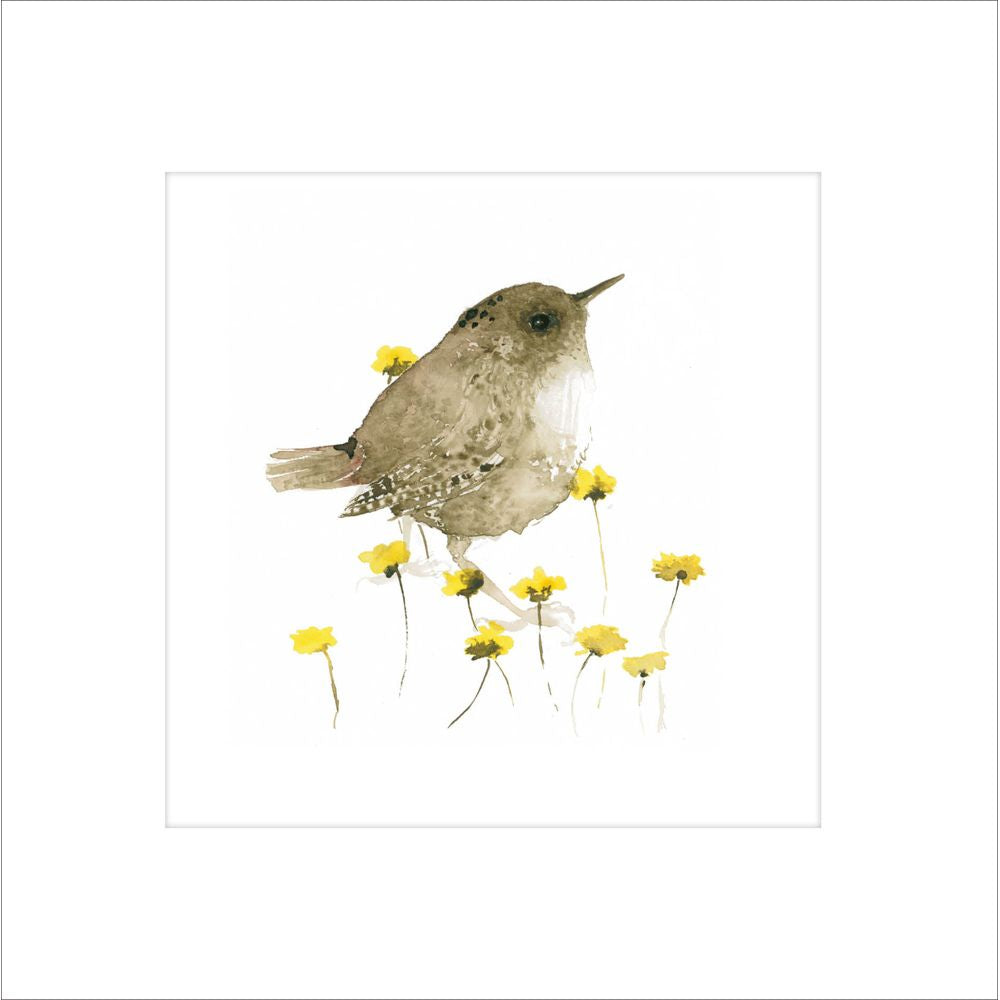 Woodmansterne Wren Bird Blank Card