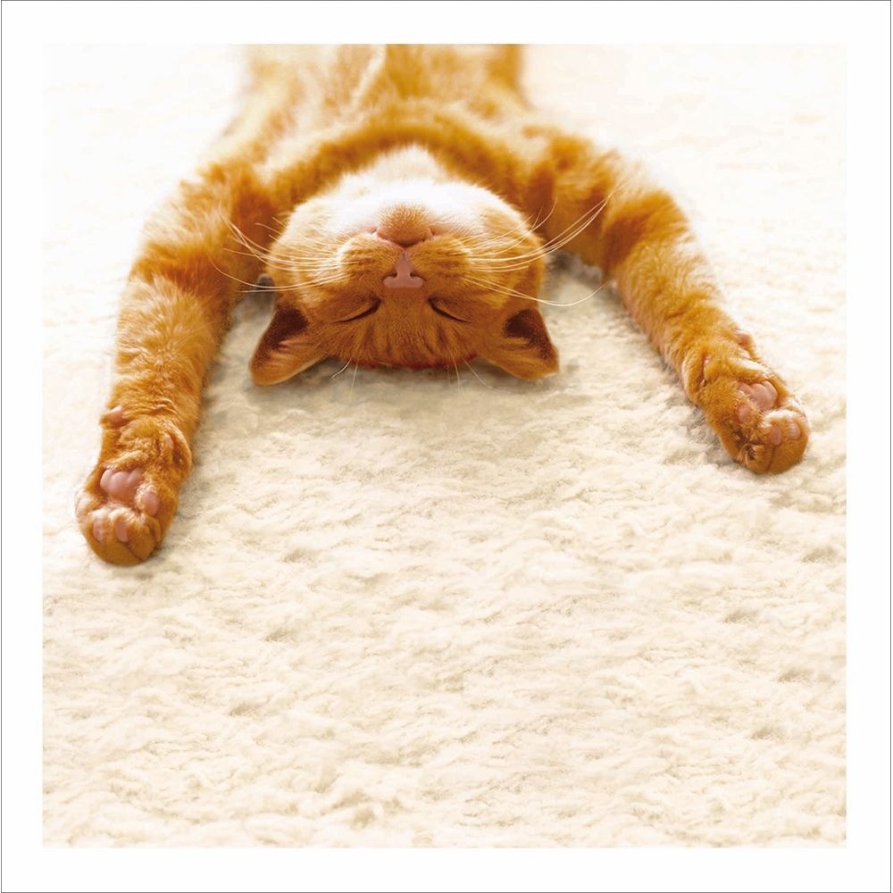 Woodmansterne You're the Boss Cat Blank Card
