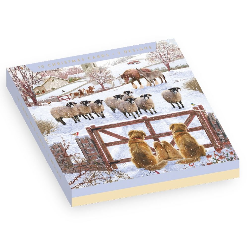 Woodmansterne Dogs & Sheep Boxed Christmas Cards - Pack of 10