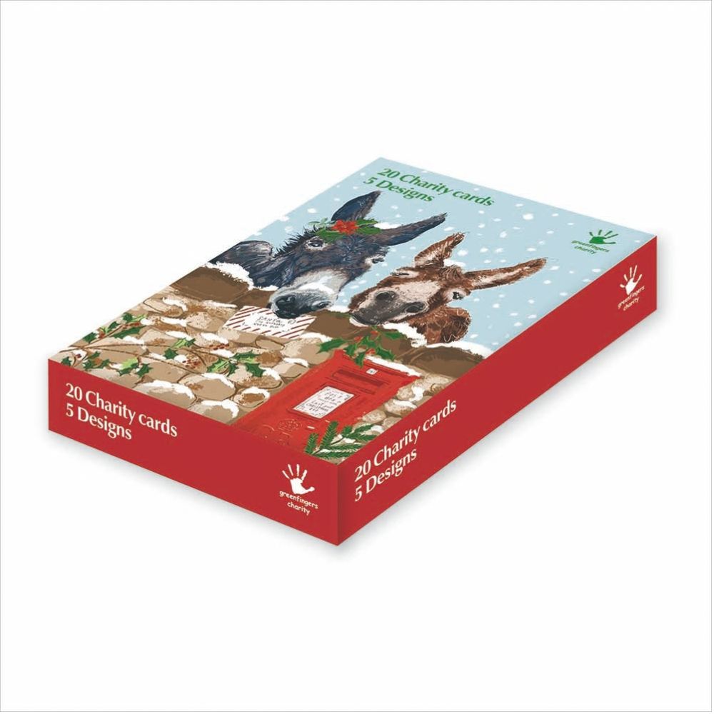 Woodmansterne Donkey's Over Wall Boxed Charity Cards - (Pack of 20)