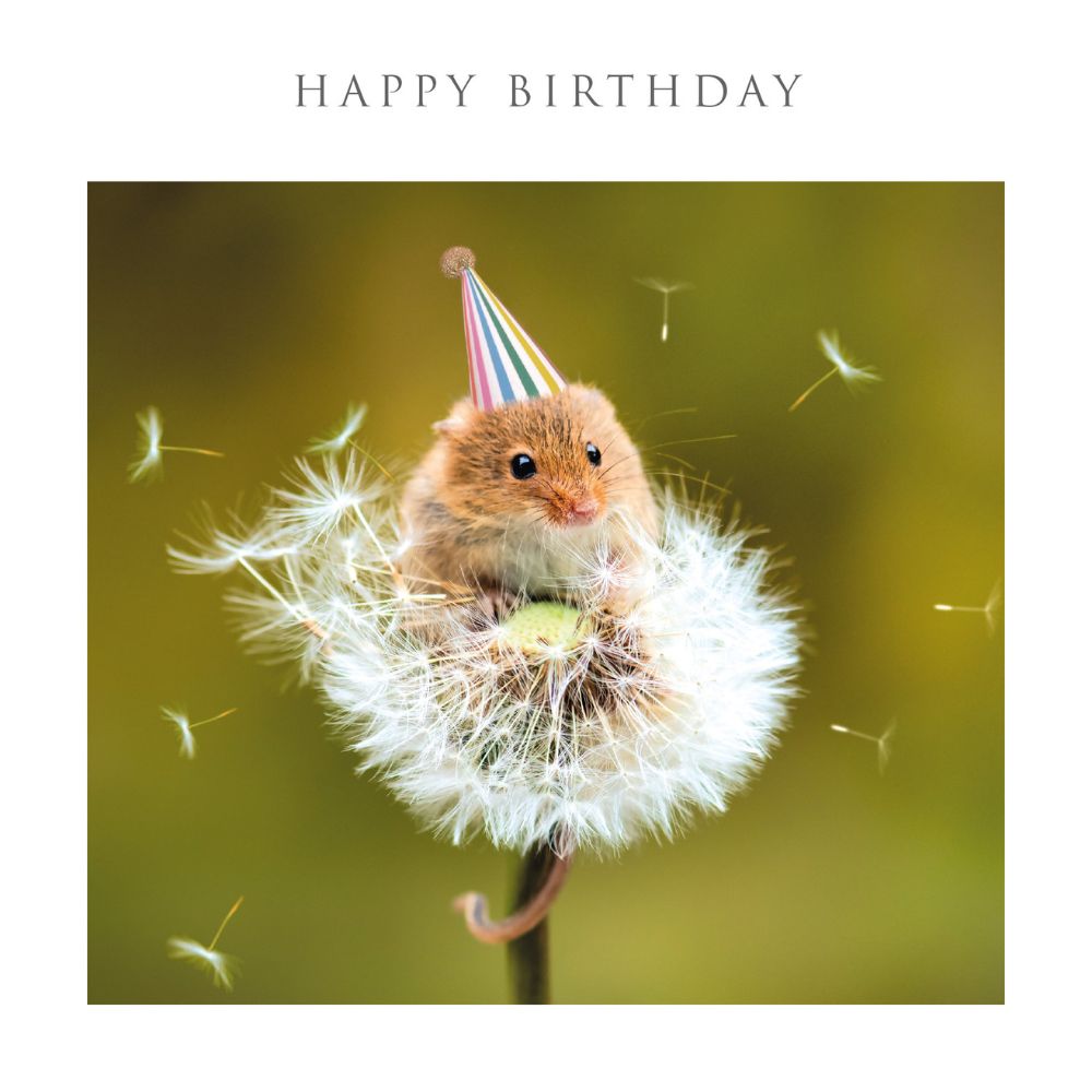 Woodmansterne Mouse on Dandelion Birthday Card