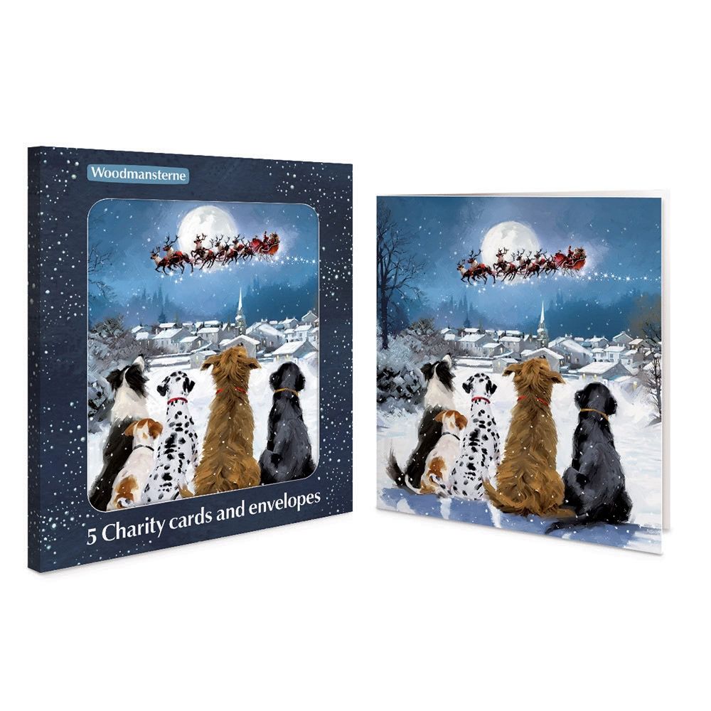 Woodmansterne Night Before Christmas Boxed Christmas Cards - Pack of 5