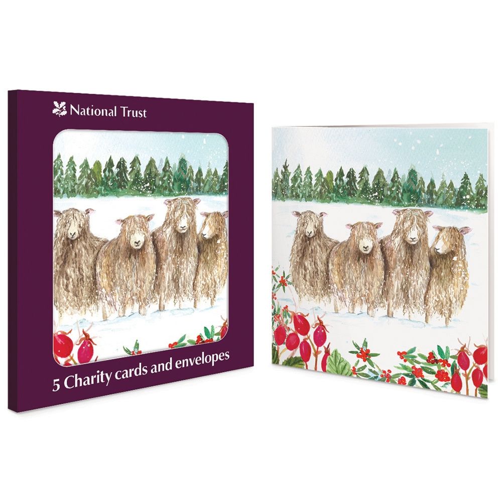 Woodmansterne Sheep Boxed Christmas Cards - Pack of 5