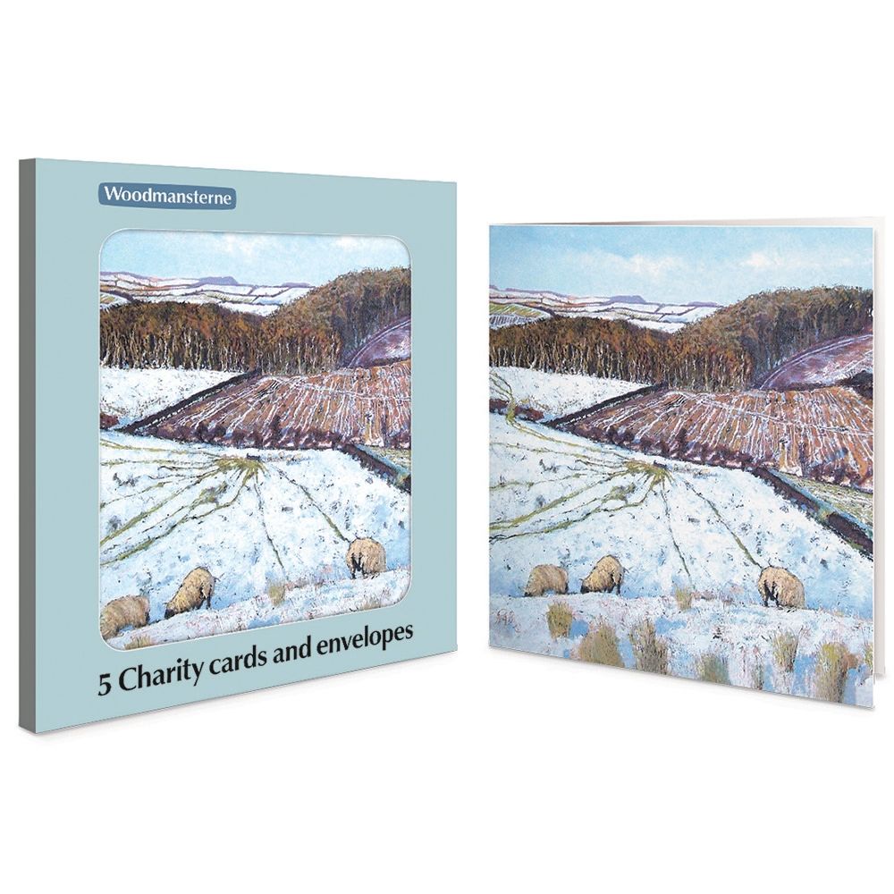 Woodmansterne Sheep in Snowy Field Boxed Christmas Cards - Pack of 5