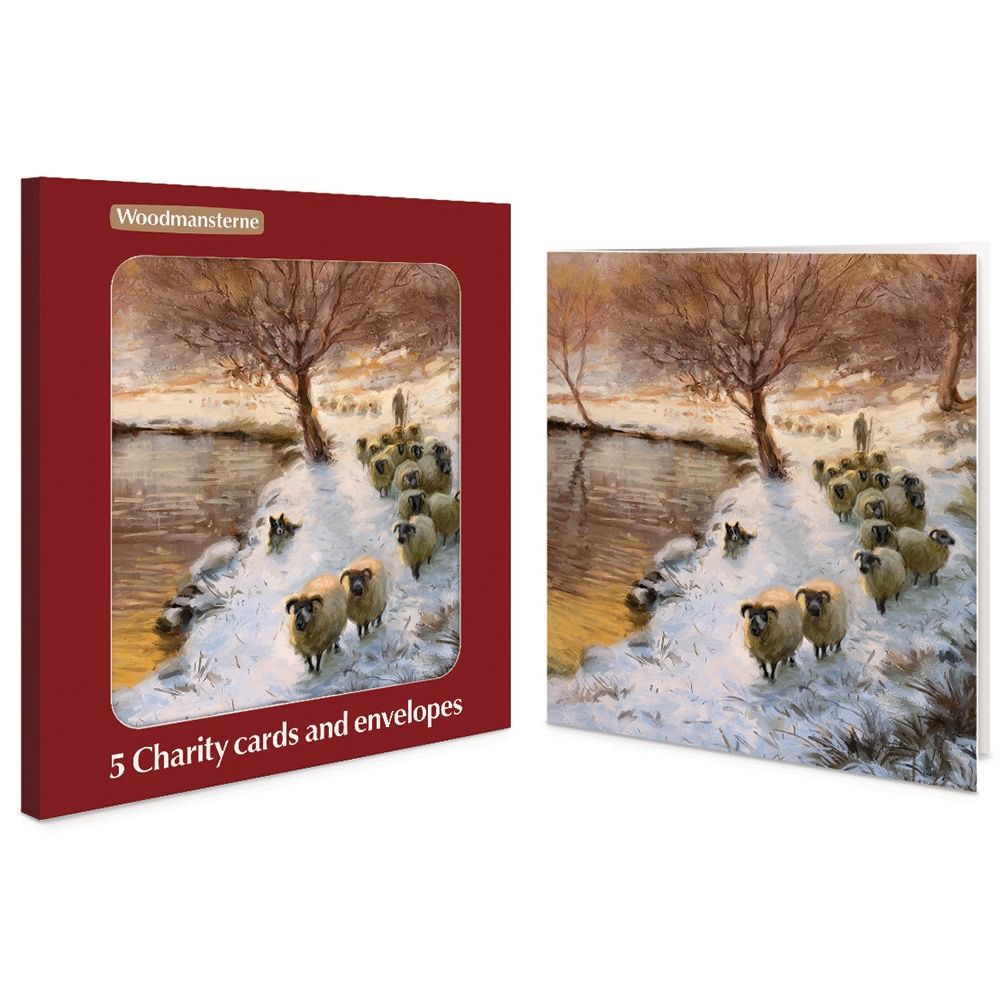 Woodmansterne Sheep in the Sunset Charity Boxed Christmas Cards - Pack of 5