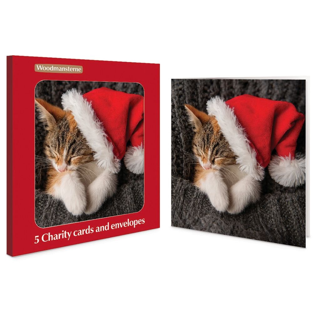 Woodmansterne Sleepy Santa Cat Charity Boxed Christmas Cards - Pack of 5