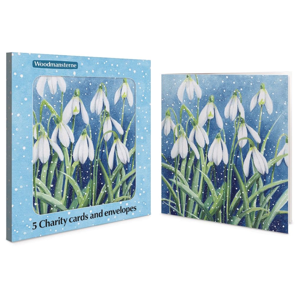 Woodmansterne Snowy Snowdrops Boxed Christmas Cards - Pack of 5