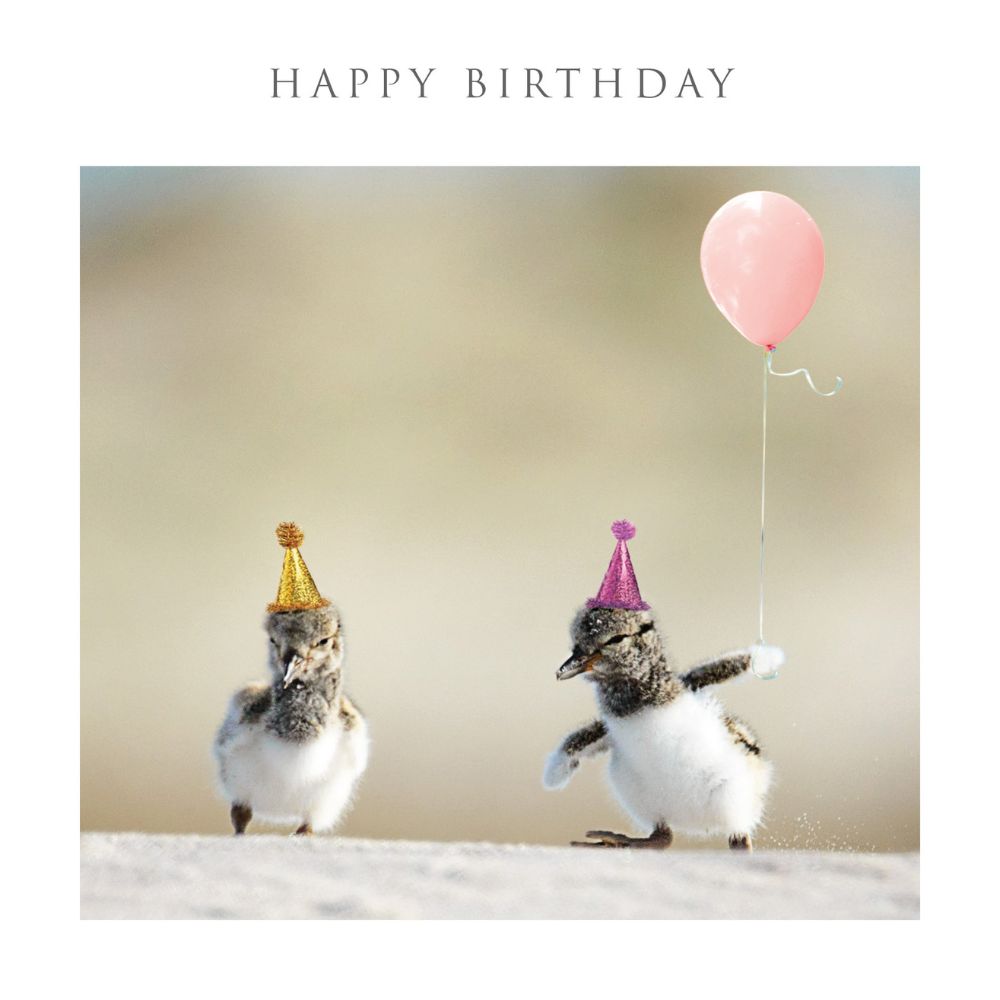 Woodmansterne Tiny Penguins Birthday Card