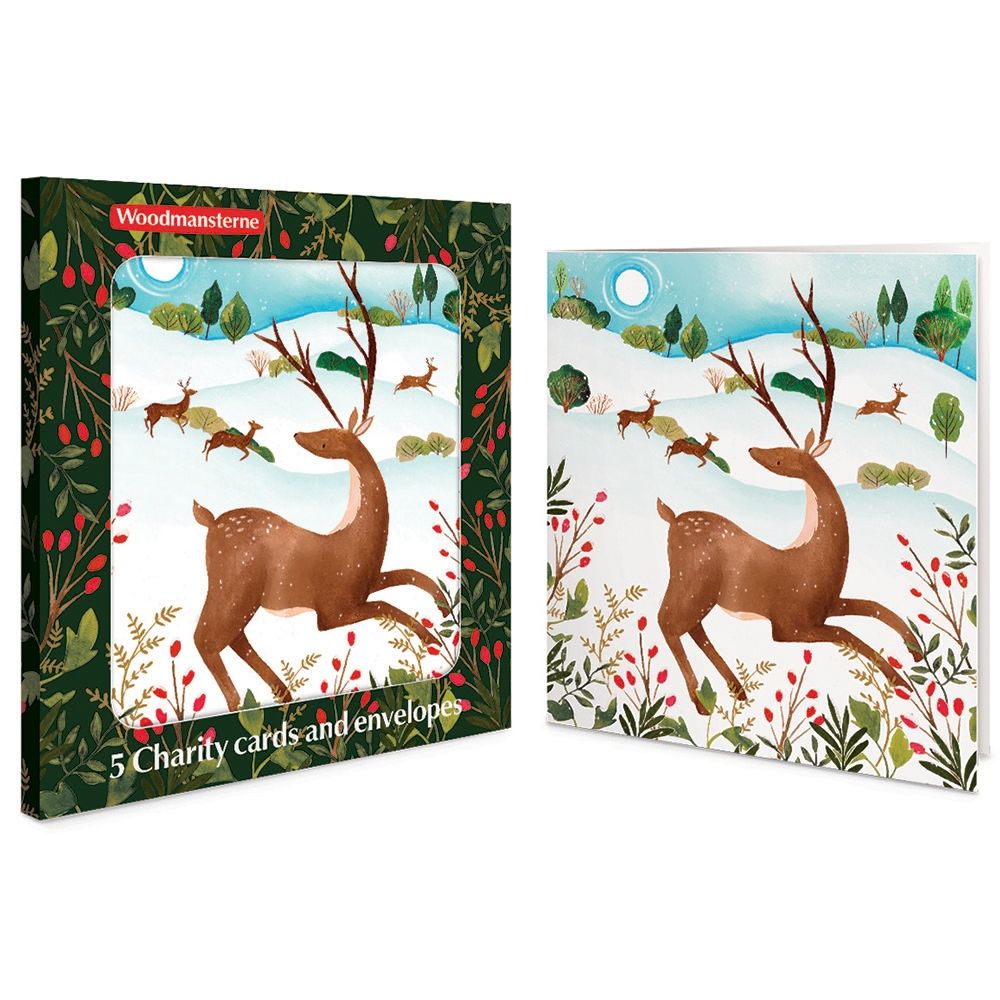 Woodmansterne Winter Deer Boxed Christmas Cards - Pack of 5