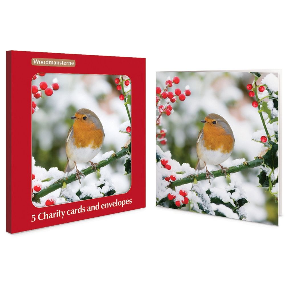 Woodmansterne Winter Friend Robin Charity Boxed Christmas Cards - Pack of 5