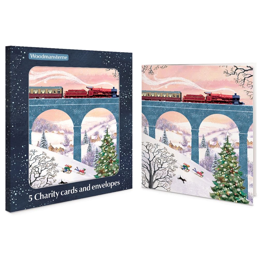 Woodmansterne Winter Journey Charity Boxed Christmas Cards - Pack of 5