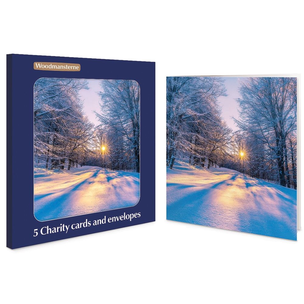 Woodmansterne Winter Sun Woodland Charity Boxed Christmas Cards - Pack of 5