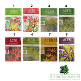 Acer Palmatum Mix Tree - 15cm Pot (Choice of 2) - Old Railway Line Garden Centre