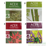 Acer Palmatum Mix Tree - 19cm Pot (Choice of 4)