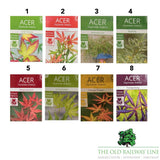 Acer Palmatum Mix Tree - 15cm Pot (Choice of 8)