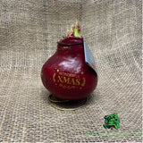 Amaryllis Wax Christmas Message Bulb - Choice of 2