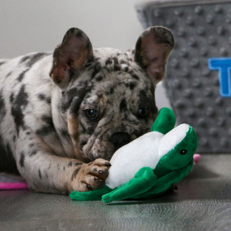 Ancol 13cm Mini Made From Turtle/Seal/Seahorse Dog Toy