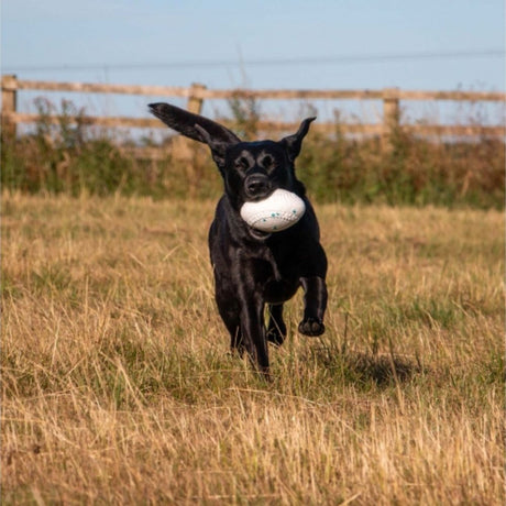 Ancol 15cm Floating Rugby Ball Dog Toy - Old Railway Line Garden Centre