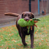 Ancol 29cm Cuddle Fluffy Moths Dog Toy