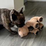 Ancol 29cm Heritage Tartan Bear Squeaky Dog Toy