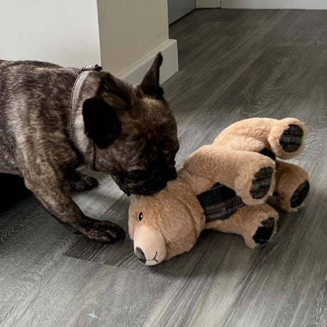 Ancol 29cm Heritage Tartan Bear Squeaky Dog Toy