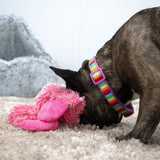 Ancol 43cm Cuddle Farmyard Floppets Dog Toy