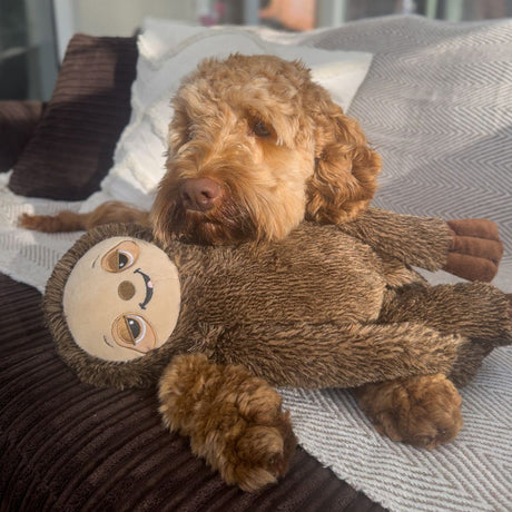 Ancol 72cm Playtime Sleepy Sloth Squeaky Dog Toy