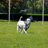 Ancol 1m Playtime Super Long Cow Squeaky Dog Toy