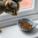 Ancol Ceramic Oval Cat Dish (Choice of 3)