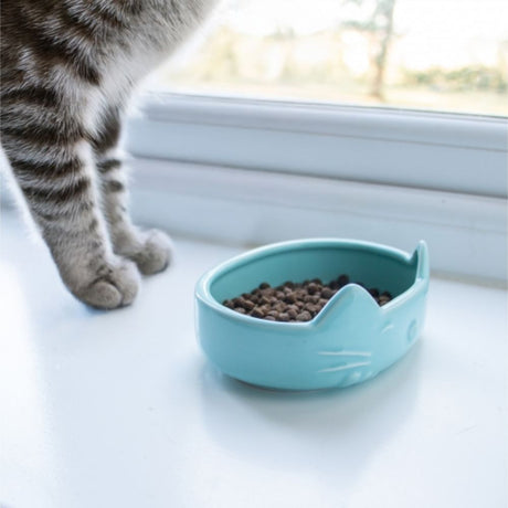 Ancol Ceramic Raised Oval Cat Dish (Choice of 3) - Old Railway Line Garden Centre