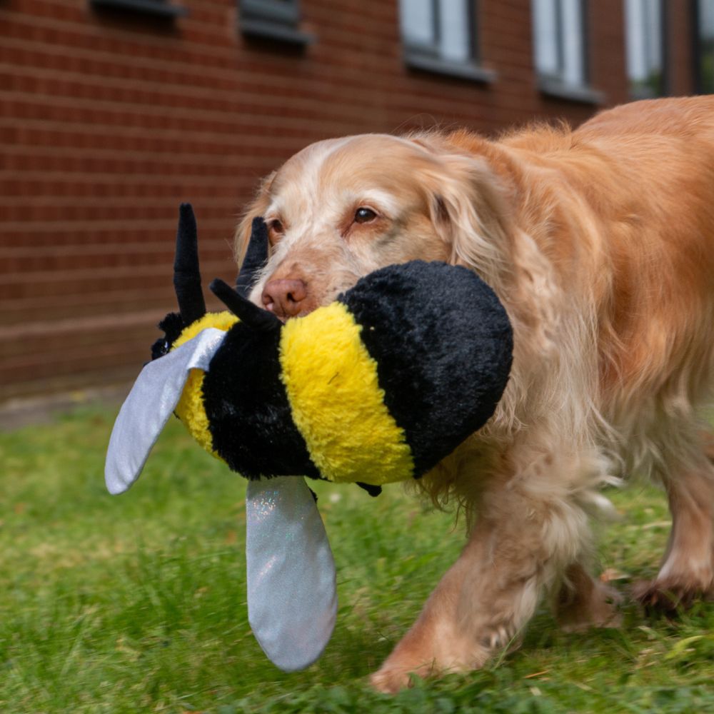 Ancol 32cm Cuddly Critters