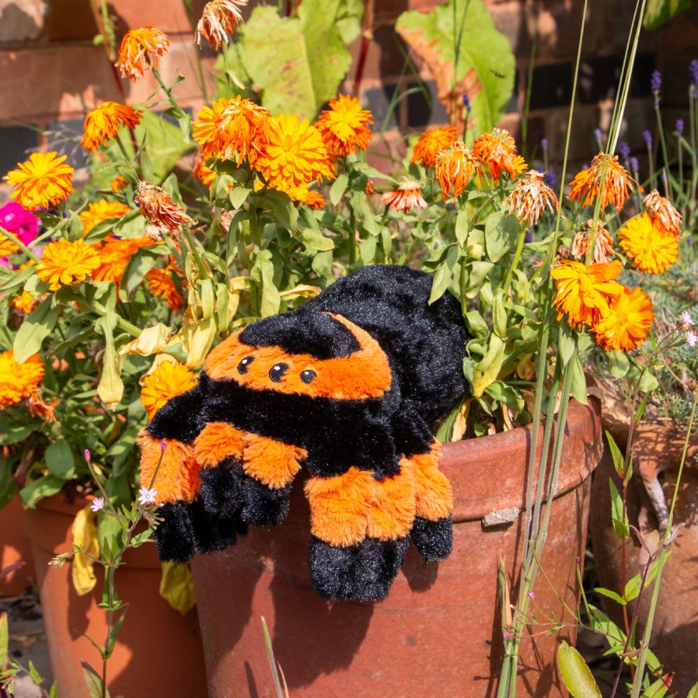 Ancol 32cm Cuddly Critters