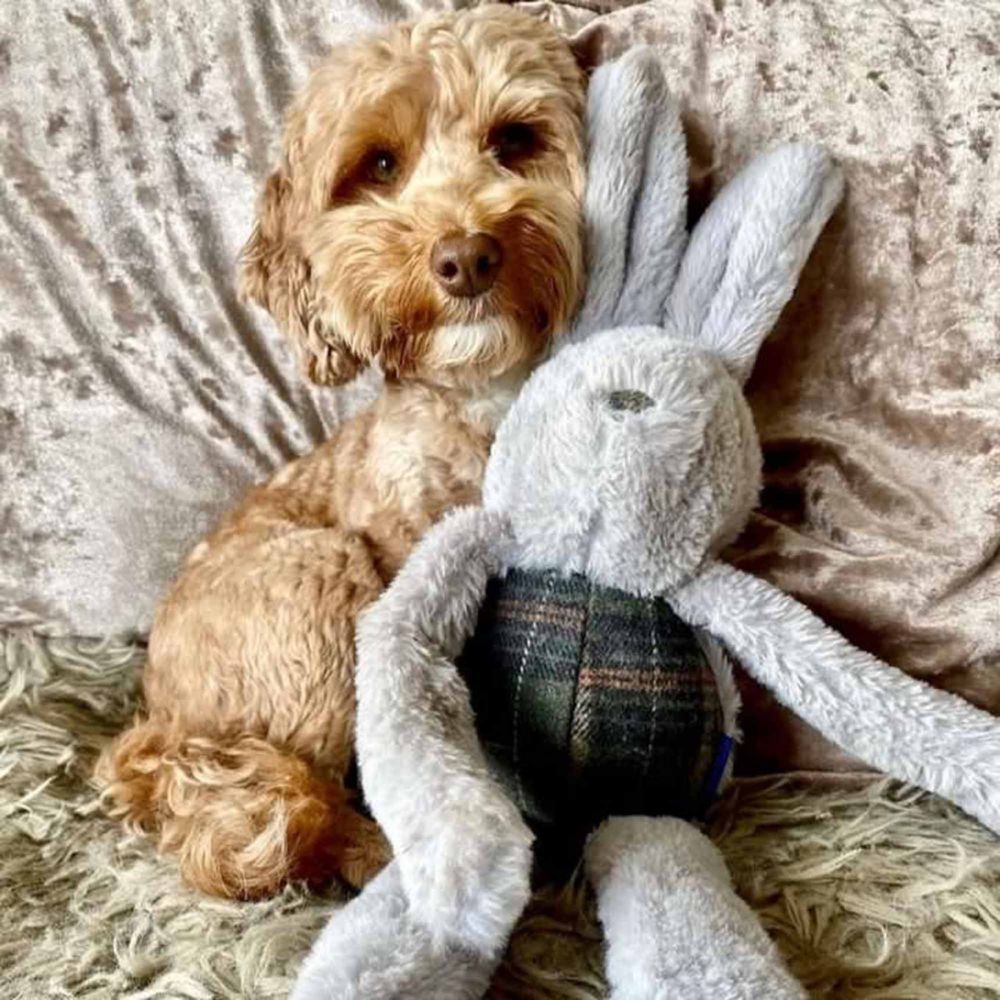 Ancol 13cm Heritage Floppy Bunny Dog Toy