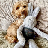 Ancol 13cm Heritage Floppy Bunny Dog Toy