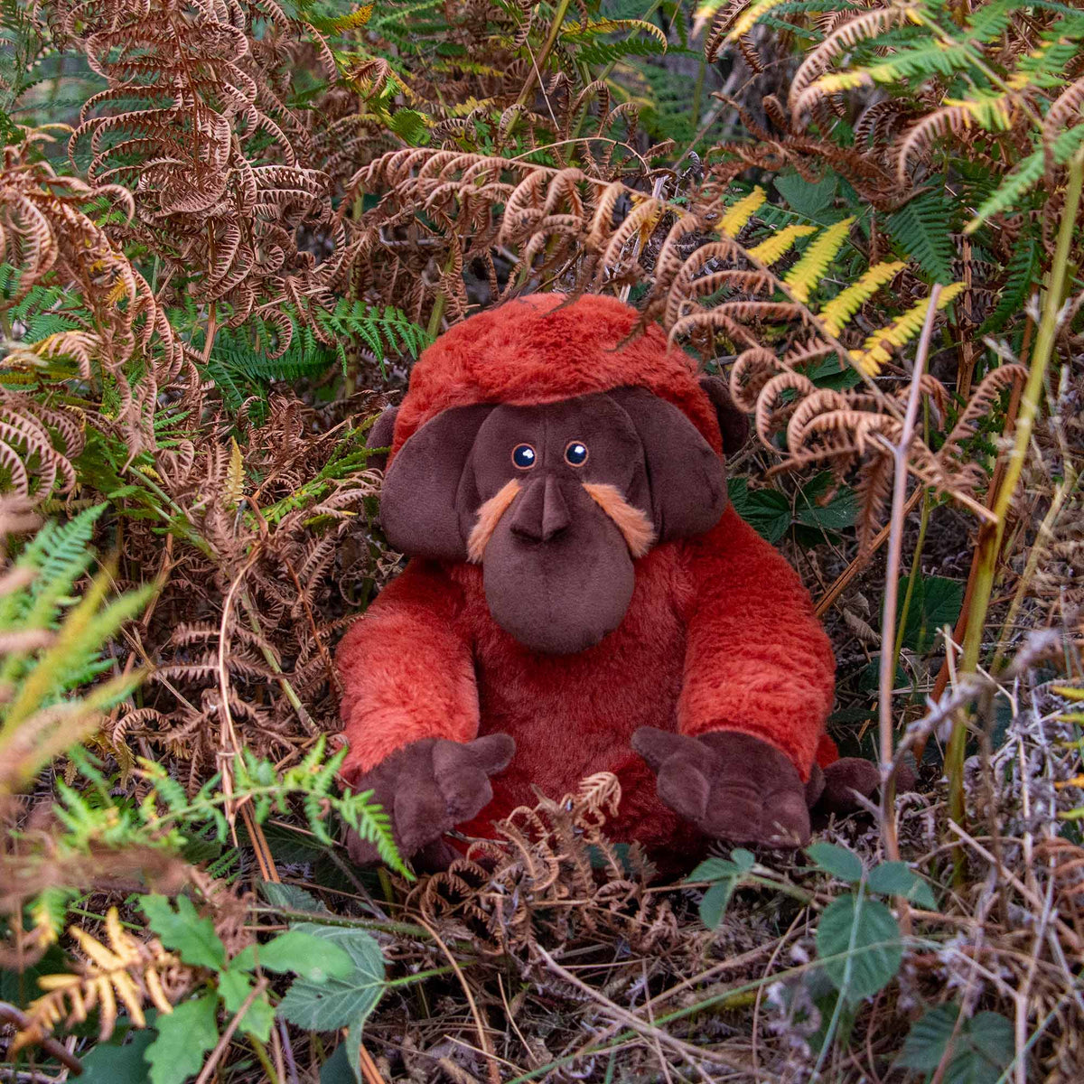 Ancol Made From Oswold Orangutan Dog Toy
