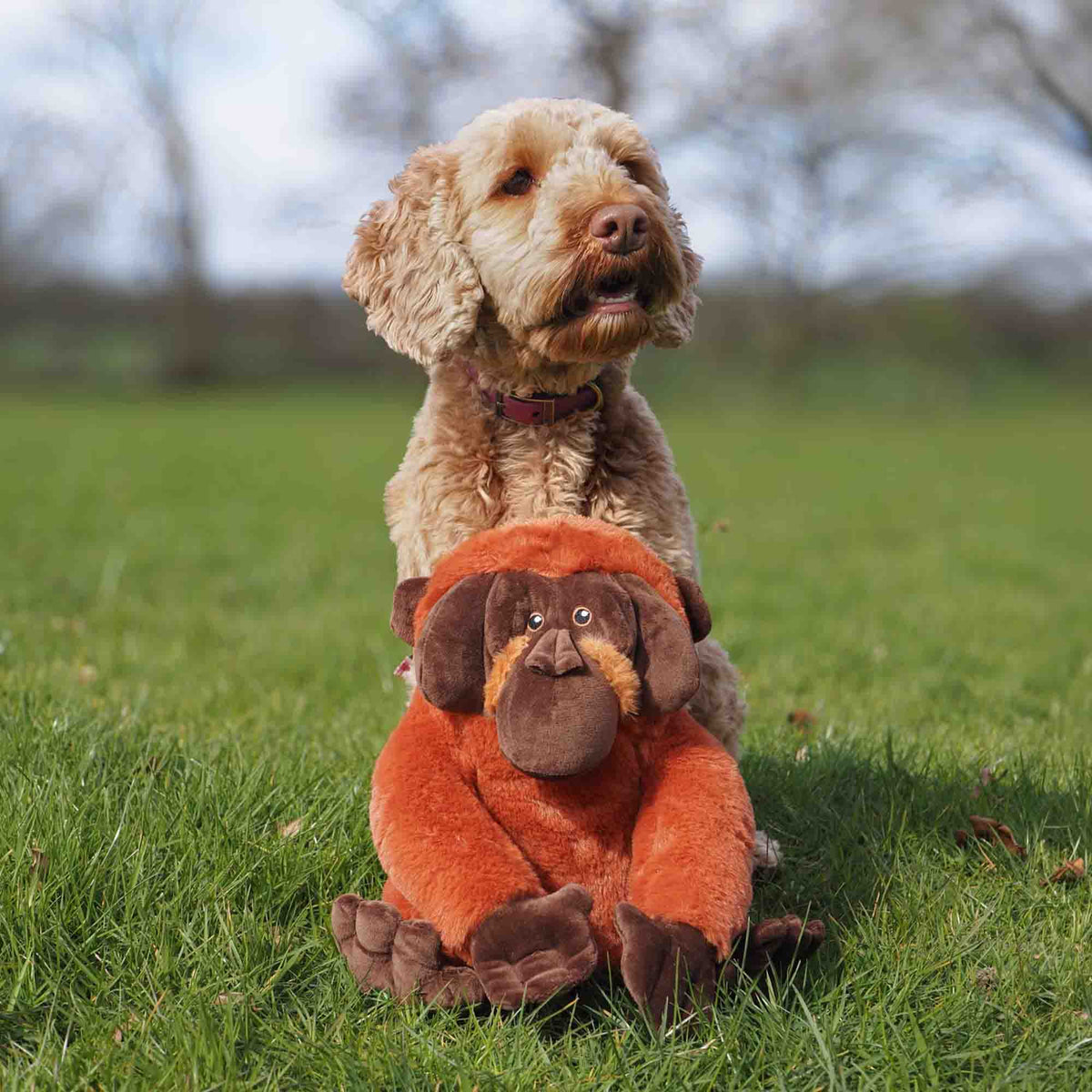 Ancol Made From Oswold Orangutan Dog Toy