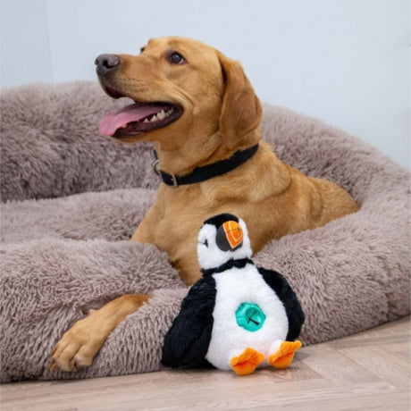 Ancol Orva Puffin Ball Belly Dog Toy