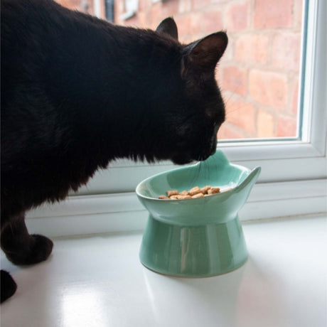 Ancol Sage Green Ceramic Raised Cat Dish - Old Railway Line Garden Centre